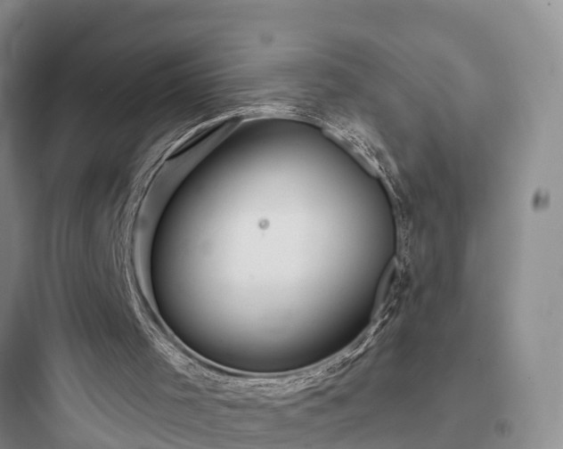 X0000097920001200803211538