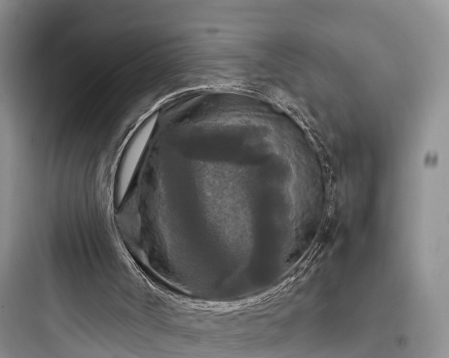 X0000097920002200803211538