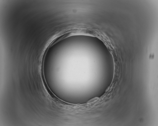 X0000097920003200803211538