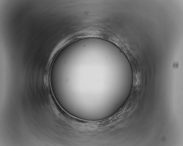 X0000097920004200803211538