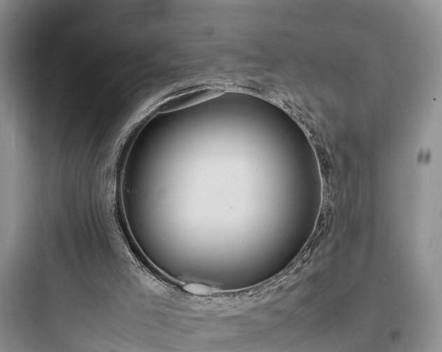 X0000097920005200803211538