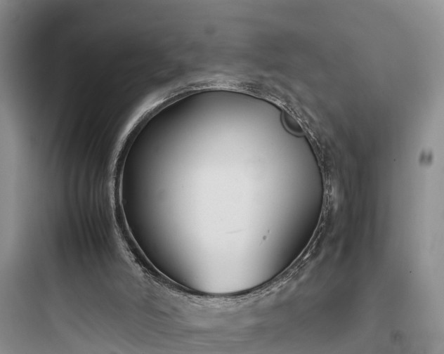 X0000097920006200803211538