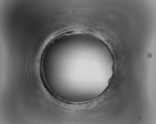 X0000097920007200803211538