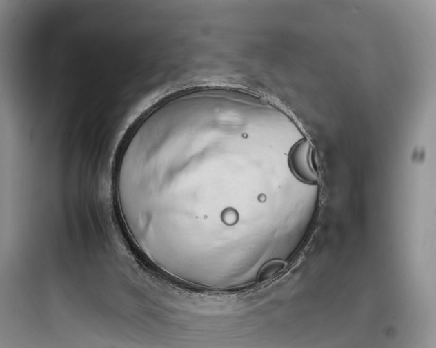 X0000097920008200803211538