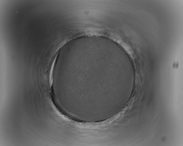 X0000097920009200803211538