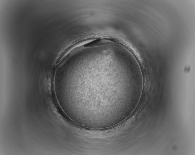 X0000097920010200803211538