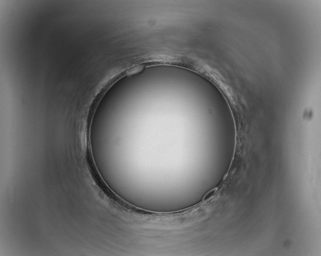 X0000097920011200803211538