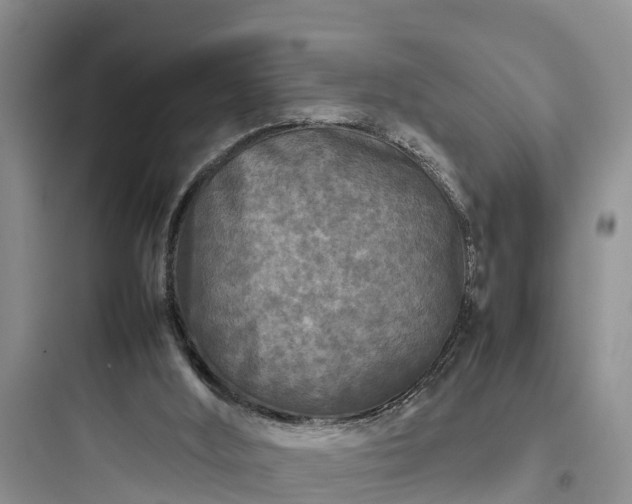 X0000097920012200803211538