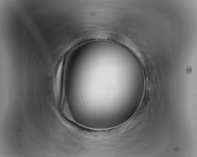 X0000097920013200803211538