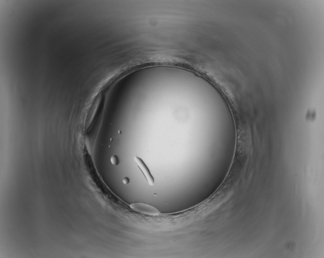 X0000097920015200803211538