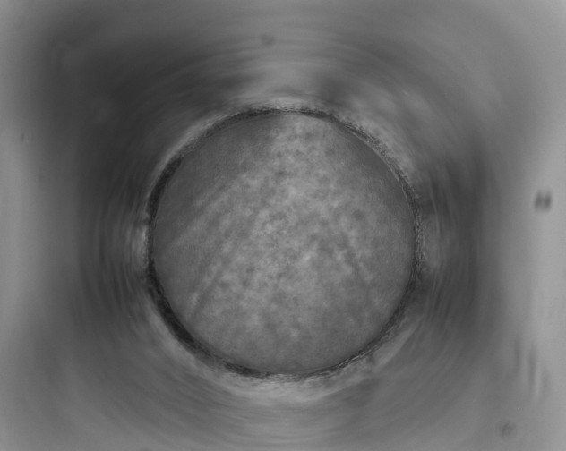 X0000097920016200803211538