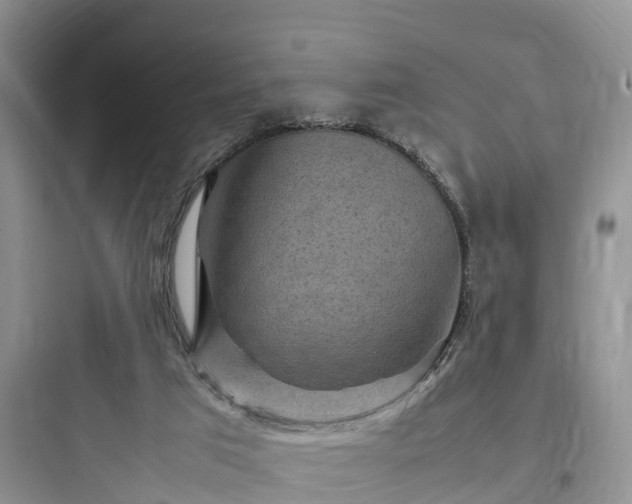 X0000097920017200803211538