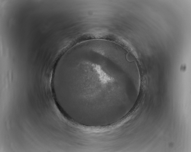 X0000097920018200803211538