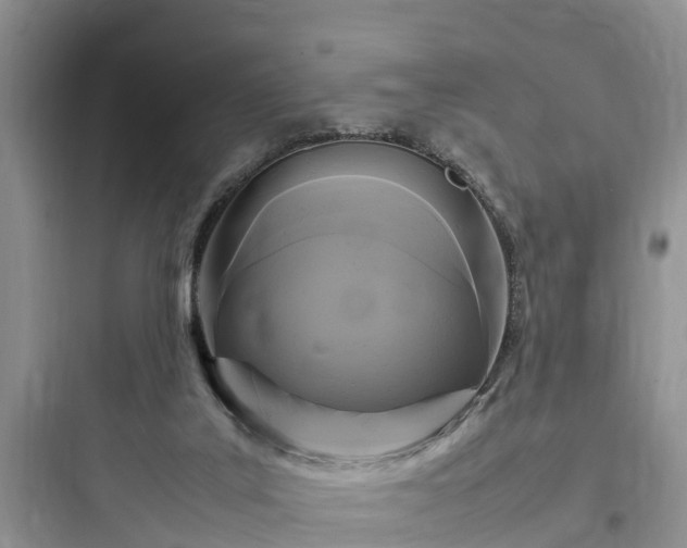 X0000097920019200803211538