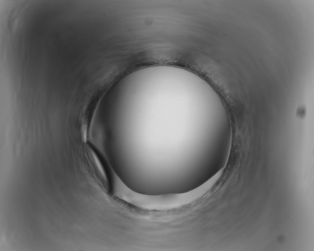 X0000097920021200803211538