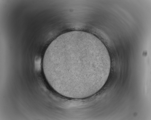 X0000097920024200803211538