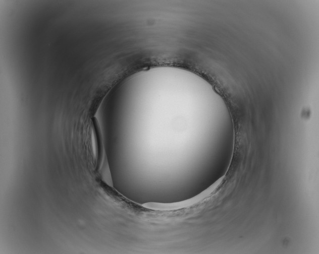 X0000097920025200803211538