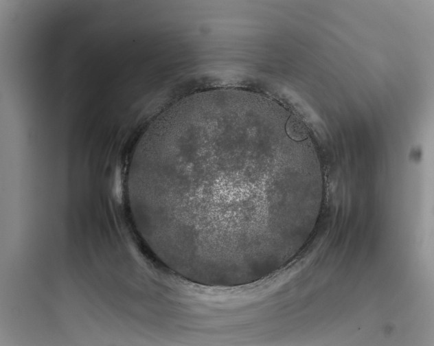 X0000097920026200803211538