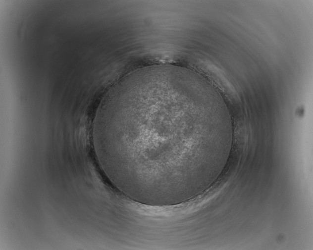 X0000097920030200803211537