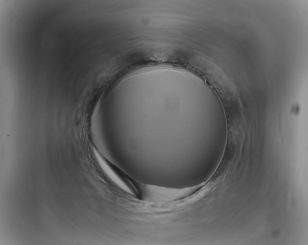 X0000097920031200803211537