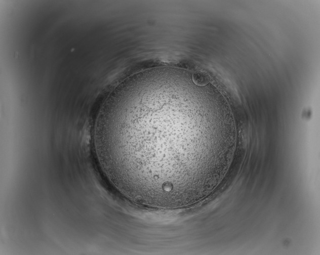 X0000097920032200803211537