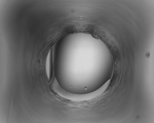 X0000097920033200803211537