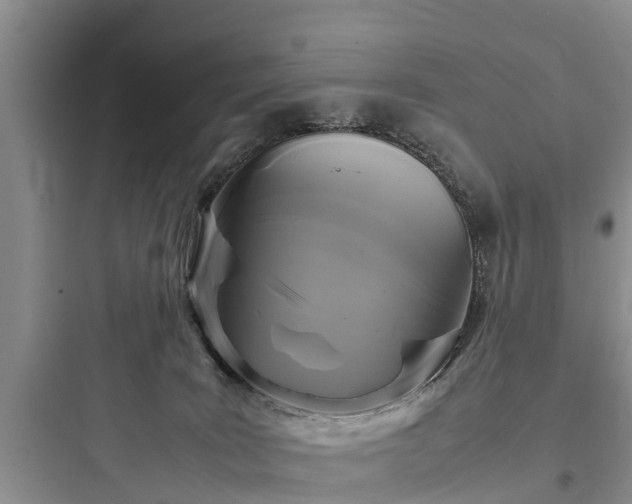 X0000097920035200803211537