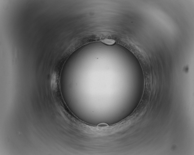 X0000097920038200803211537