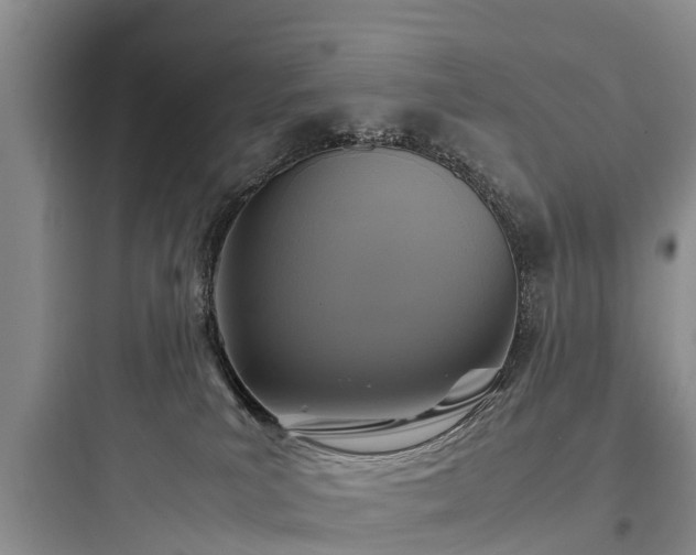 X0000097920039200803211537