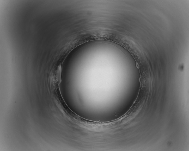 X0000097920040200803211537