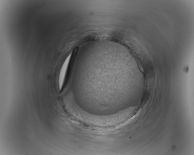 X0000097920041200803211537