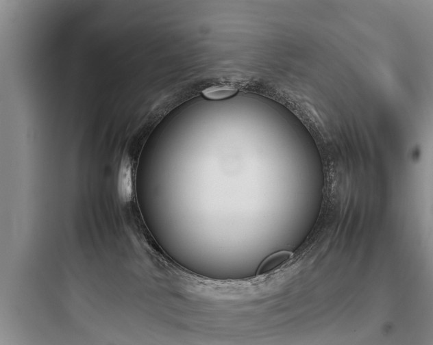 X0000097920042200803211537