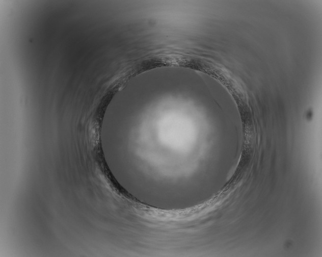 X0000097920043200803211537