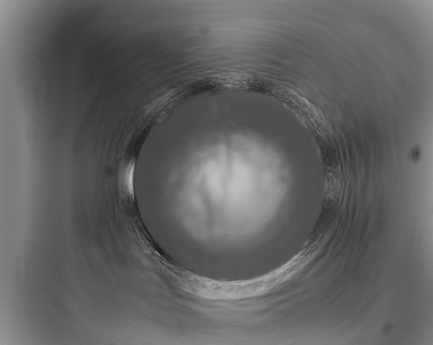 X0000097920047200803211537