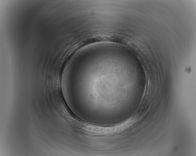 X0000097920048200803211537