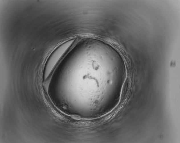 X0000097920049200803211536