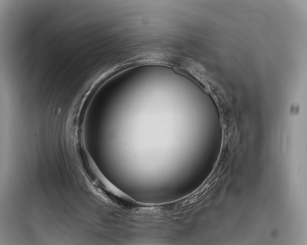 X0000097920050200803211536