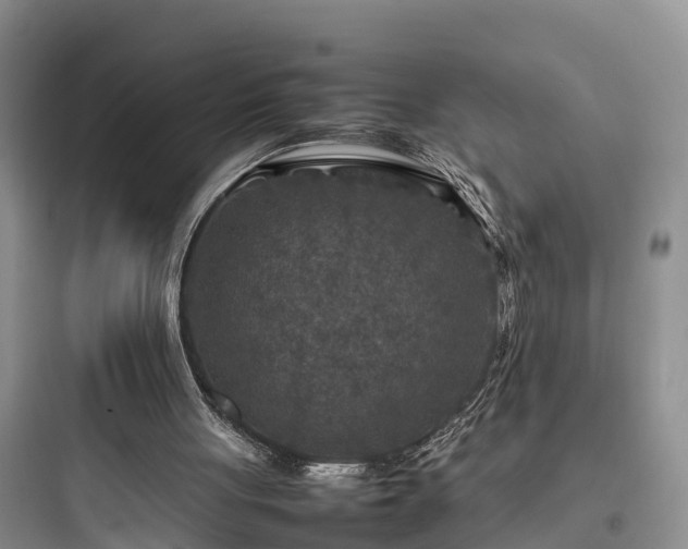 X0000097920051200803211536