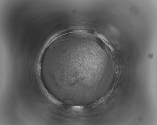 X0000097920053200803211536