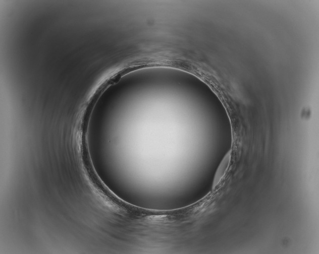 X0000097920054200803211536