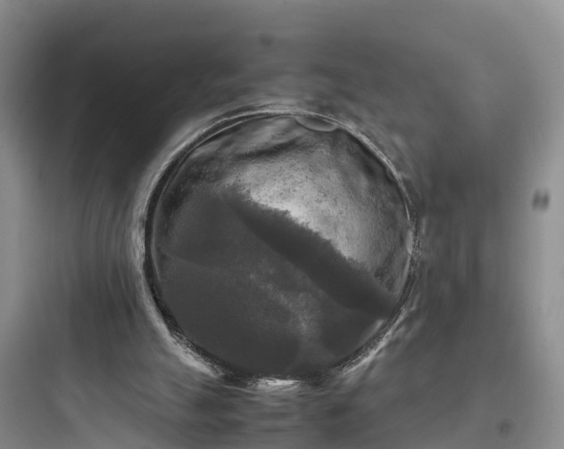 X0000097920055200803211536