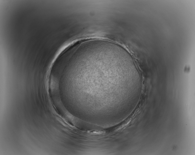 X0000097920056200803211536