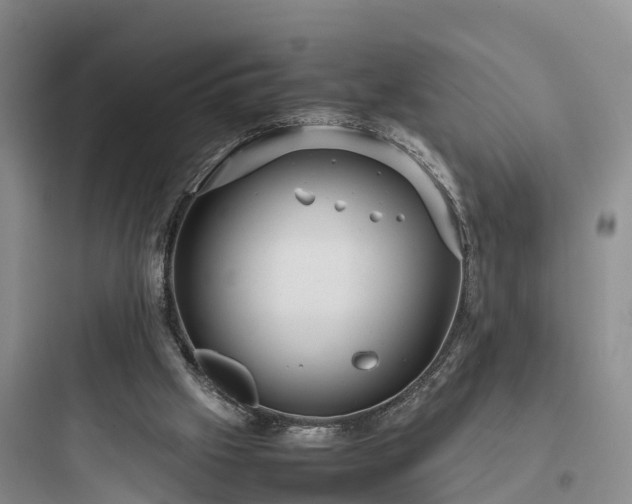 X0000097920057200803211537