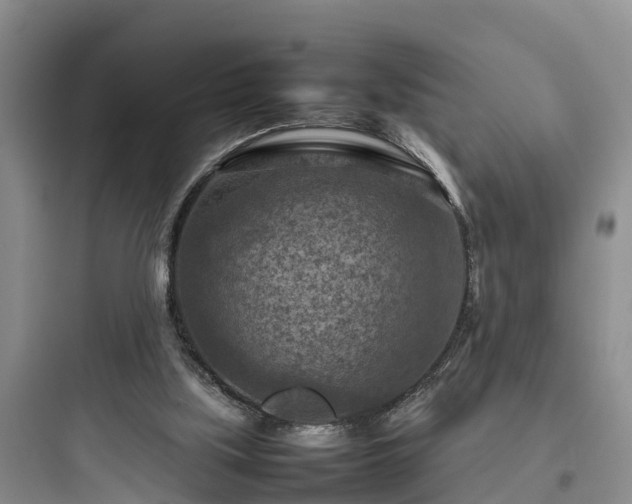 X0000097920059200803211537