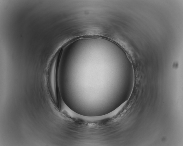 X0000097920060200803211537