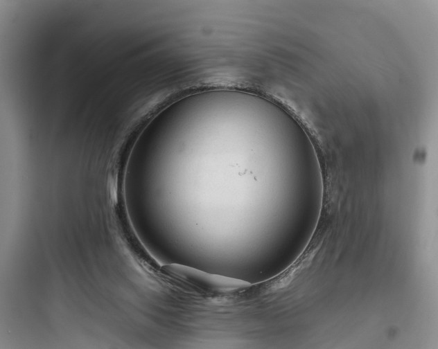 X0000097920062200803211537