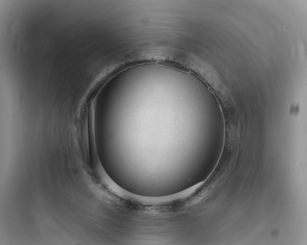 X0000097920064200803211537