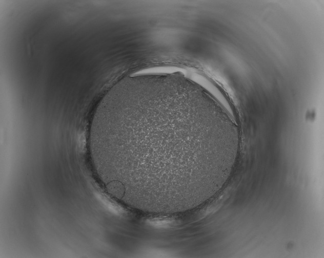 X0000097920065200803211537