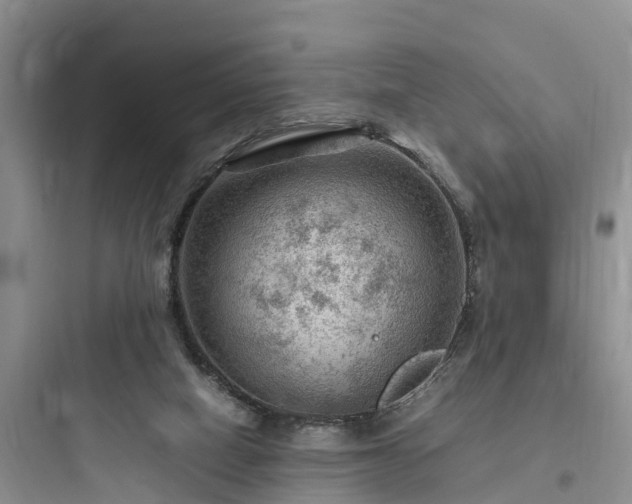 X0000097920066200803211537