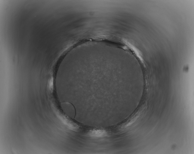 X0000097920067200803211537